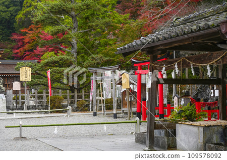 Izumo Daijingu Shrine (Kameoka City, Kyoto Prefecture) Izumo Daijingu Shrine (Kameoka City, Kyoto Prefecture) 109578092