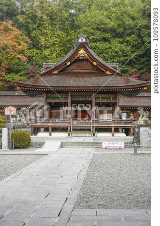 Izumo Daijingu Shrine (Kameoka City, Kyoto Prefecture) Main Hall and Worship Hall Izumo Daijingu Shrine (Kameoka City, Kyoto Prefecture) Main Hall and Worship Hall 109578093