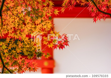 出雲大神宮的紅葉（京都府龜岡市） 109578103