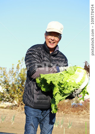老人與收穫蔬菜 老人與收穫蔬菜 109578454