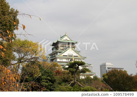 大阪城公園的深秋景色 109578499