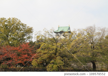 Late autumn scenery at Osaka Castle Park Late autumn scenery at Osaka Castle Park 109578552