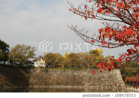 Late autumn scenery at Osaka Castle Park Late autumn scenery at Osaka Castle Park 109578553