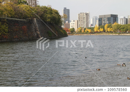 大阪城公園的深秋景色 109578560