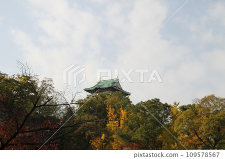 Late autumn scenery at Osaka Castle Park 109578567
