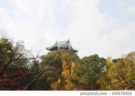 Late autumn scenery at Osaka Castle Park Late autumn scenery at Osaka Castle Park 109578568