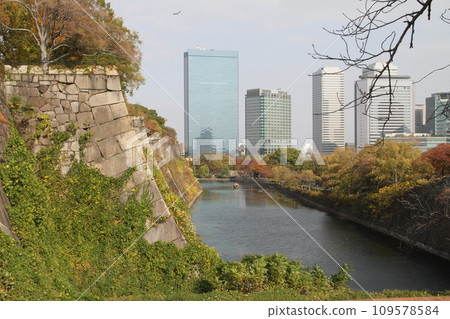 Late autumn scenery at Osaka Castle Park Late autumn scenery at Osaka Castle Park 109578584