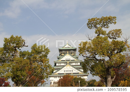 Late autumn scenery at Osaka Castle Park 109578595