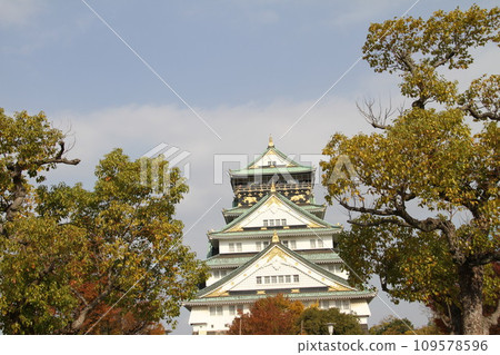 Late autumn scenery at Osaka Castle Park Late autumn scenery at Osaka Castle Park 109578596