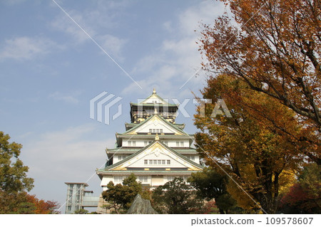 大阪城公園的深秋景色 109578607