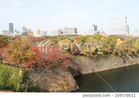 Late autumn scenery at Osaka Castle Park Late autumn scenery at Osaka Castle Park 109578611