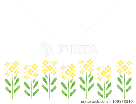Watercolor style rape blossom background illustration Watercolor style rape blossom background illustration 109578810