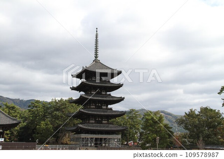 奈良興福寺的深秋景色 奈良興福寺的深秋景色 109578987