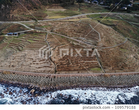 Shiroyone Senmaida Winter 109579188