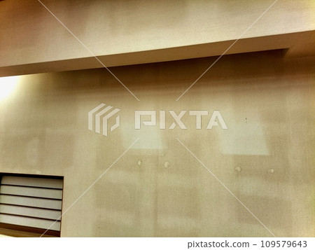 老房子內牆壁上的污漬 109579643