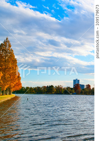 深秋水元公園秋葉風景 109579673