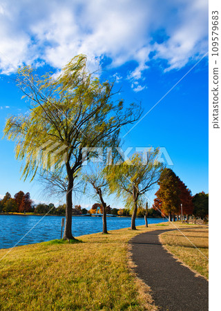 Mizumoto Park autumn leaves scenery in late autumn Mizumoto Park autumn leaves scenery in late autumn 109579683
