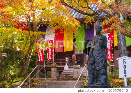 秋天的京都,熊野觀音寺,大士堂被秋葉覆蓋 秋天的京都,熊野觀音寺,大士堂被秋葉覆蓋 109579940