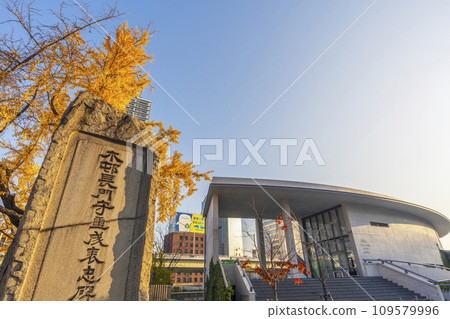 Children's Book Forest Nakanoshima Late Autumn Morning Children's Book Forest Nakanoshima Late Autumn Morning 109579996
