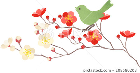 Illustration of plum and Japanese warbler 109580208
