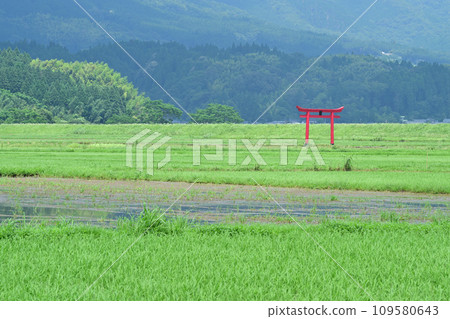 菅原神社鳥居 109580643