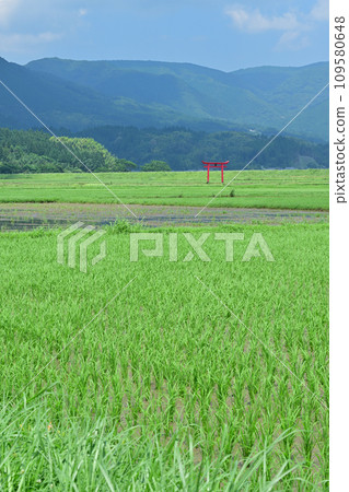 菅原神社鳥居 109580648