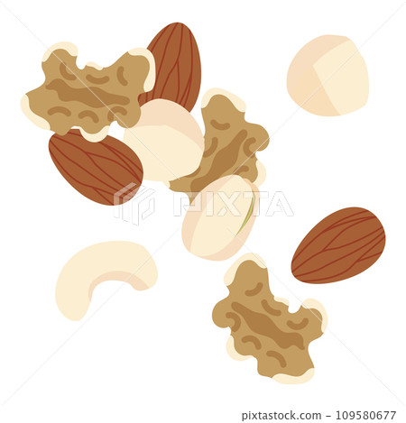 illustration of nuts 109580677