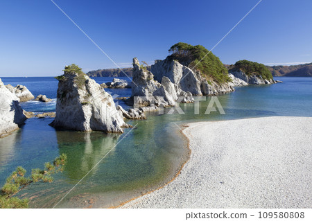 秋天的城dog濱 109580808