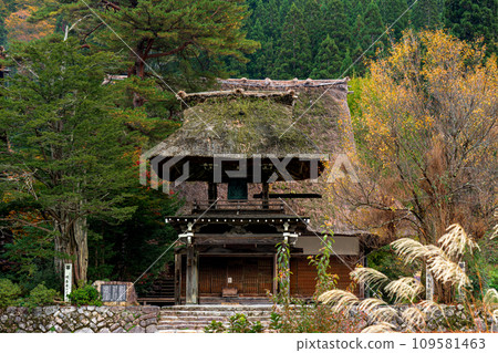 Autumn leaves in Shirakawa-go, World Heritage Site, Gifu Prefecture 109581463