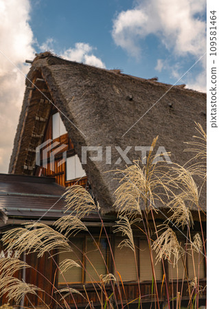 Autumn leaves in Shirakawa-go, World Heritage Site, Gifu Prefecture 109581464