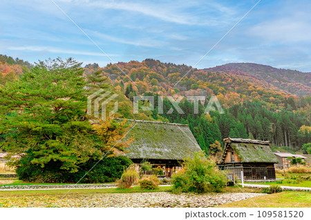 岐阜縣世界遺產白川鄉的秋葉 岐阜縣世界遺產白川鄉的秋葉 109581520