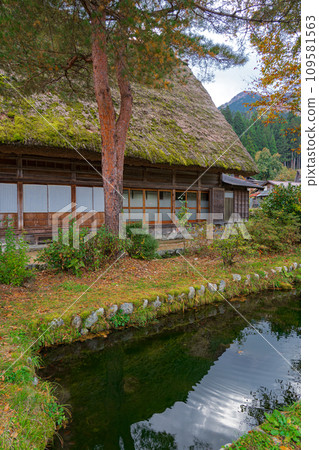 Autumn leaves in Shirakawa-go, World Heritage Site, Gifu Prefecture Autumn leaves in Shirakawa-go, World Heritage Site, Gifu Prefecture 109581563