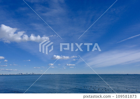 Tokyo Bay seen from Shin-Urayasu 109581873