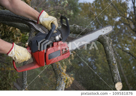 The chainsaw was firmly in the hand of the individual The chainsaw was firmly in the hand of the individual 109581876