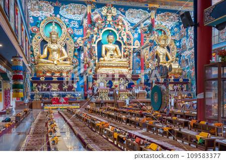 Buddha Statue in Namdroling Monastery 109583377