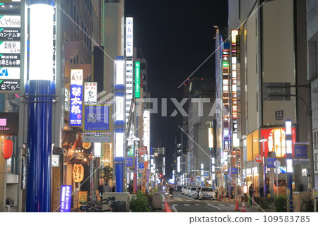 Nagoya downtown area (Isemachi Dori, Nishiki, Naka Ward, Nagoya City, Aichi Prefecture) 109583785