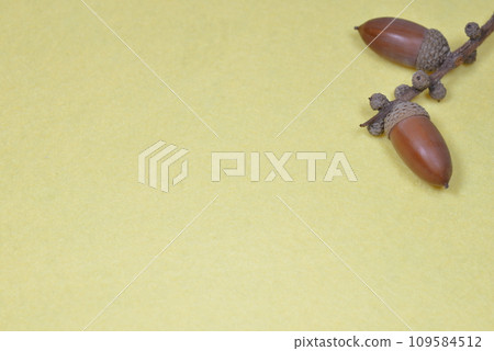 2 acorns on the top right of the screen with a yellow background 2 acorns on the top right of the screen with a yellow background 109584512