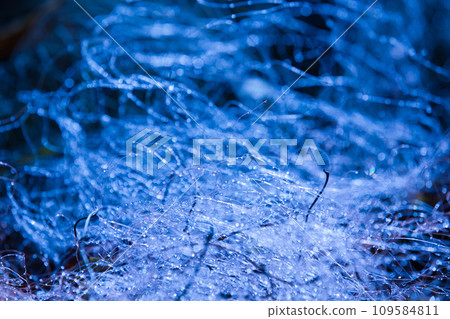 A world of light shining in the morning sun 109584811