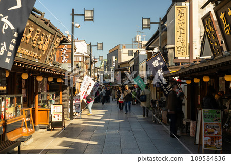 [東京]柴又帝釋天參道，昭和復古街景的黃昏 109584836
