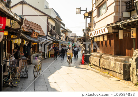 [東京]柴又帝釋天參道，昭和復古街景的黃昏 109584858