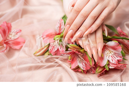 Elegant pastel pink natural manicure. 109585168