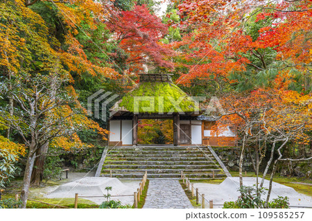 Honen-in Temple covered in autumn leaves in Kyoto in autumn 109585257