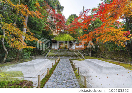 秋天的京都，法然院被秋葉覆蓋 109585262