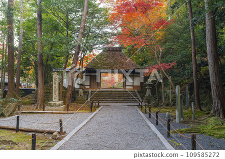 秋天的京都，法然院山門被秋葉覆蓋 109585272