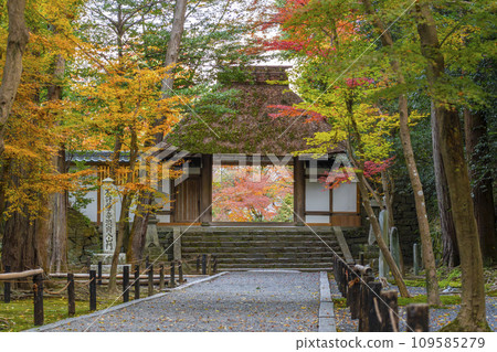 秋天的京都,法然院山門被秋葉覆蓋 秋天的京都,法然院山門被秋葉覆蓋 109585279