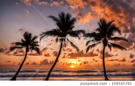 Serene sea sunset 109585782