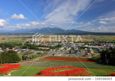 從觀景台俯瞰北海道空知郡中富良野町中富良野北星山薰衣草園,從丹參花園外的十勝嶽山脈 從觀景台俯瞰北海道空知郡中富良野町中富良野北星山薰衣草園,從丹參花園外的十勝嶽山脈 109586005