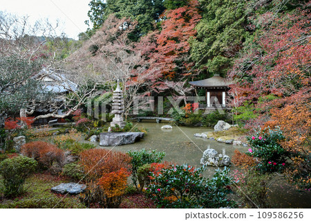 京都之秋 毗沙門堂萬水園 109586256