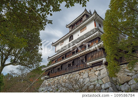 Iwakuni castle castle tower Iwakuni castle castle tower 109586784
