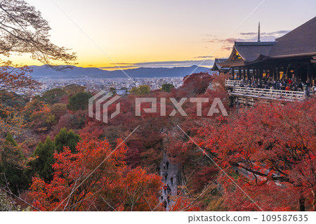 Kyoto in autumn, Kiyomizu Temple at dusk, Kiyomizu stage and autumn leaves 109587635